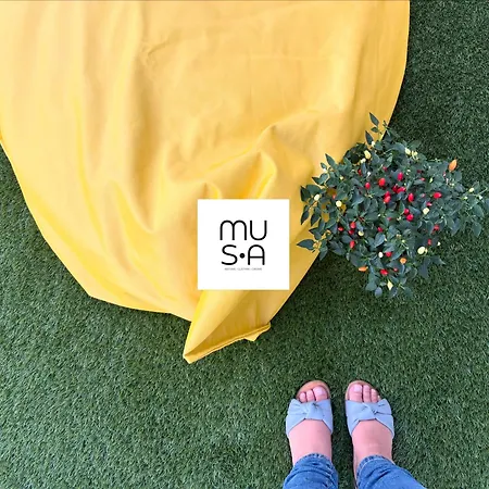 Musa Domo Fainas Càbras