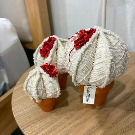 Musa Domo Fainas Cabras
